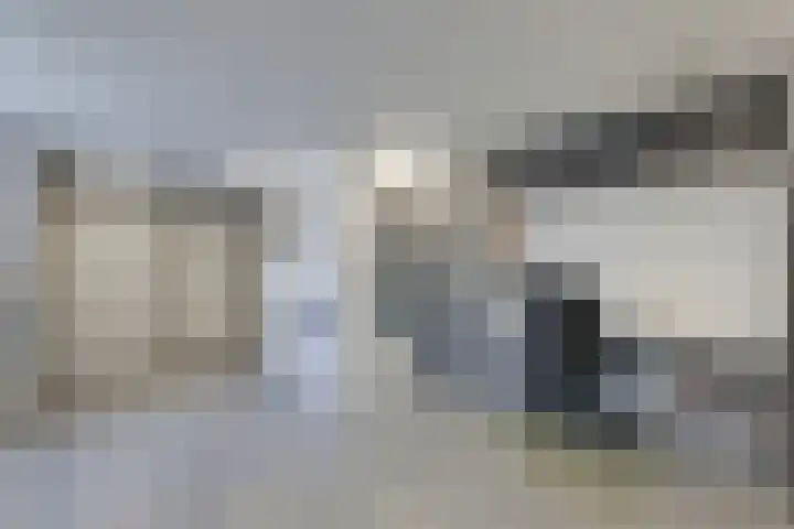 Craeyenbergh 3 Overasselt thumbnail 26