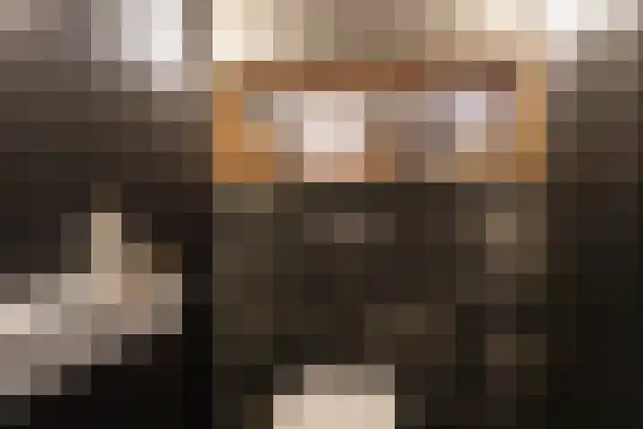 Craeyenbergh 3 Overasselt thumbnail 29