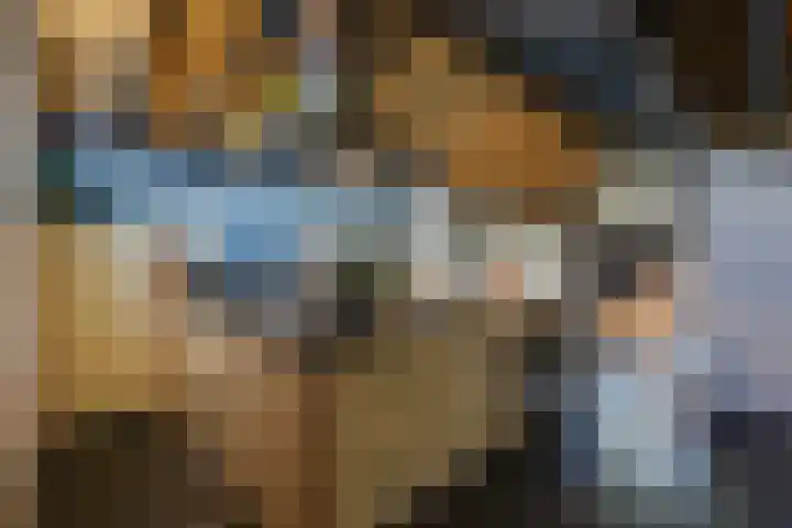 Craeyenbergh 3 Overasselt thumbnail 30