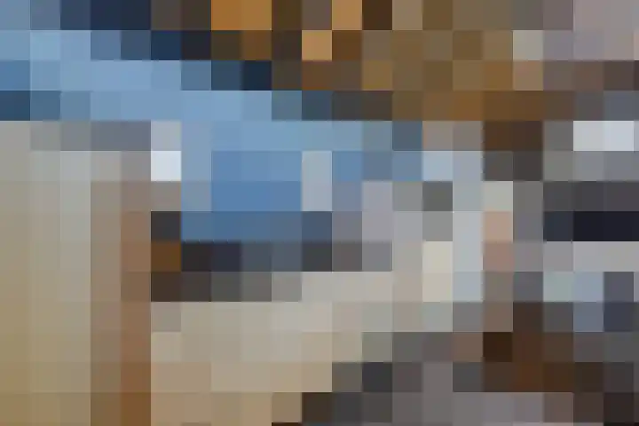 Craeyenbergh 3 Overasselt thumbnail 31