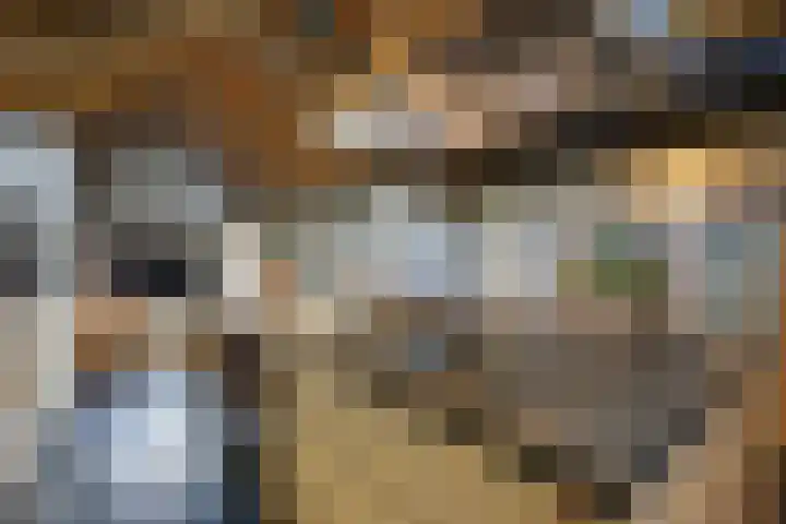 Craeyenbergh 3 Overasselt thumbnail 32