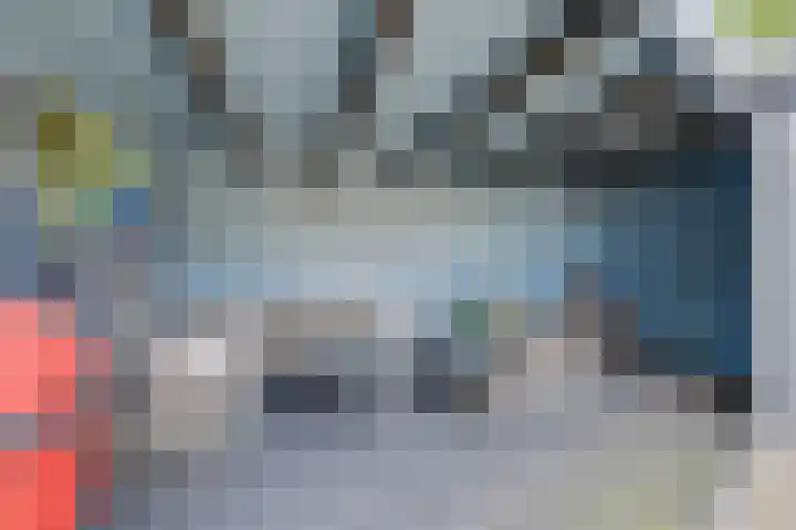 Craeyenbergh 3 Overasselt thumbnail 40