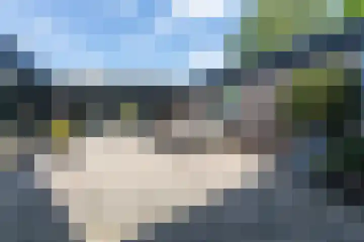 Craeyenbergh 3 Overasselt thumbnail 42