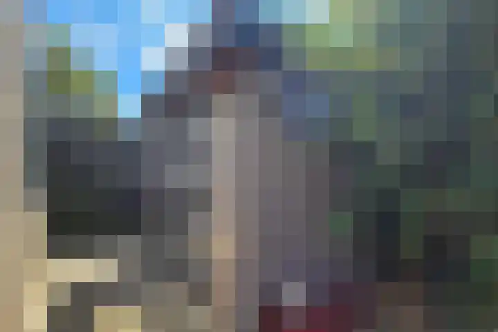 Craeyenbergh 3 Overasselt thumbnail 45