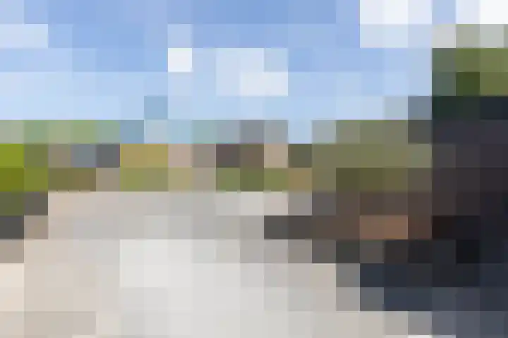 Craeyenbergh 3 Overasselt thumbnail 46