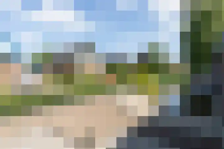 Craeyenbergh 3 Overasselt thumbnail 47