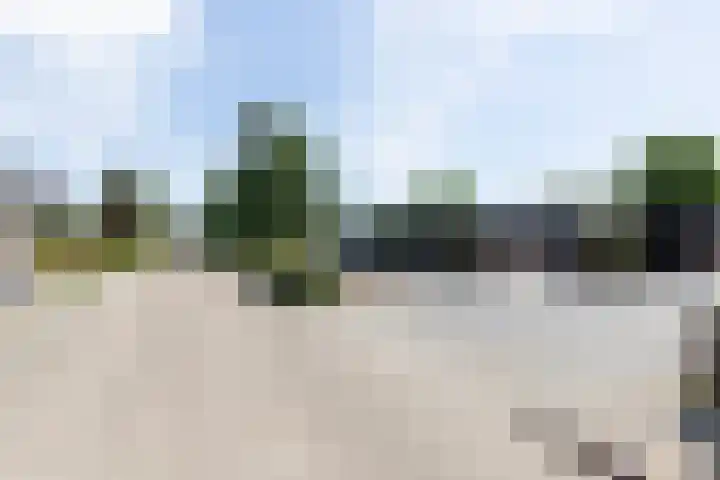 Craeyenbergh 3 Overasselt thumbnail 49
