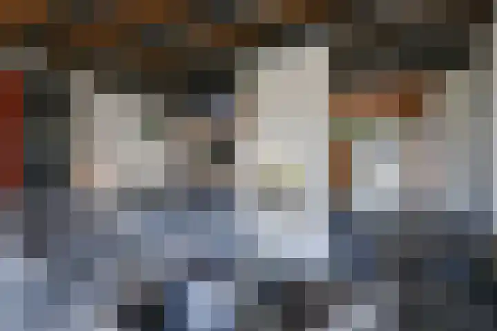 Craeyenbergh 3 Overasselt thumbnail 5