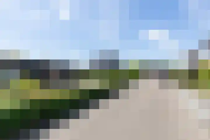 Craeyenbergh 3 Overasselt thumbnail 50