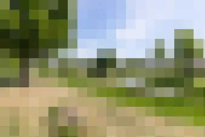 Craeyenbergh 3 Overasselt thumbnail 51