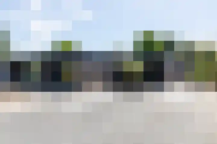 Craeyenbergh 3 Overasselt thumbnail 54
