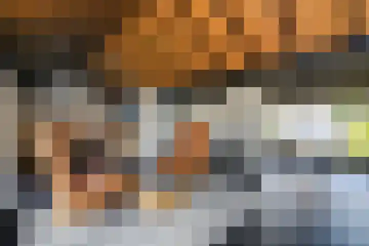 Craeyenbergh 3 Overasselt thumbnail 9