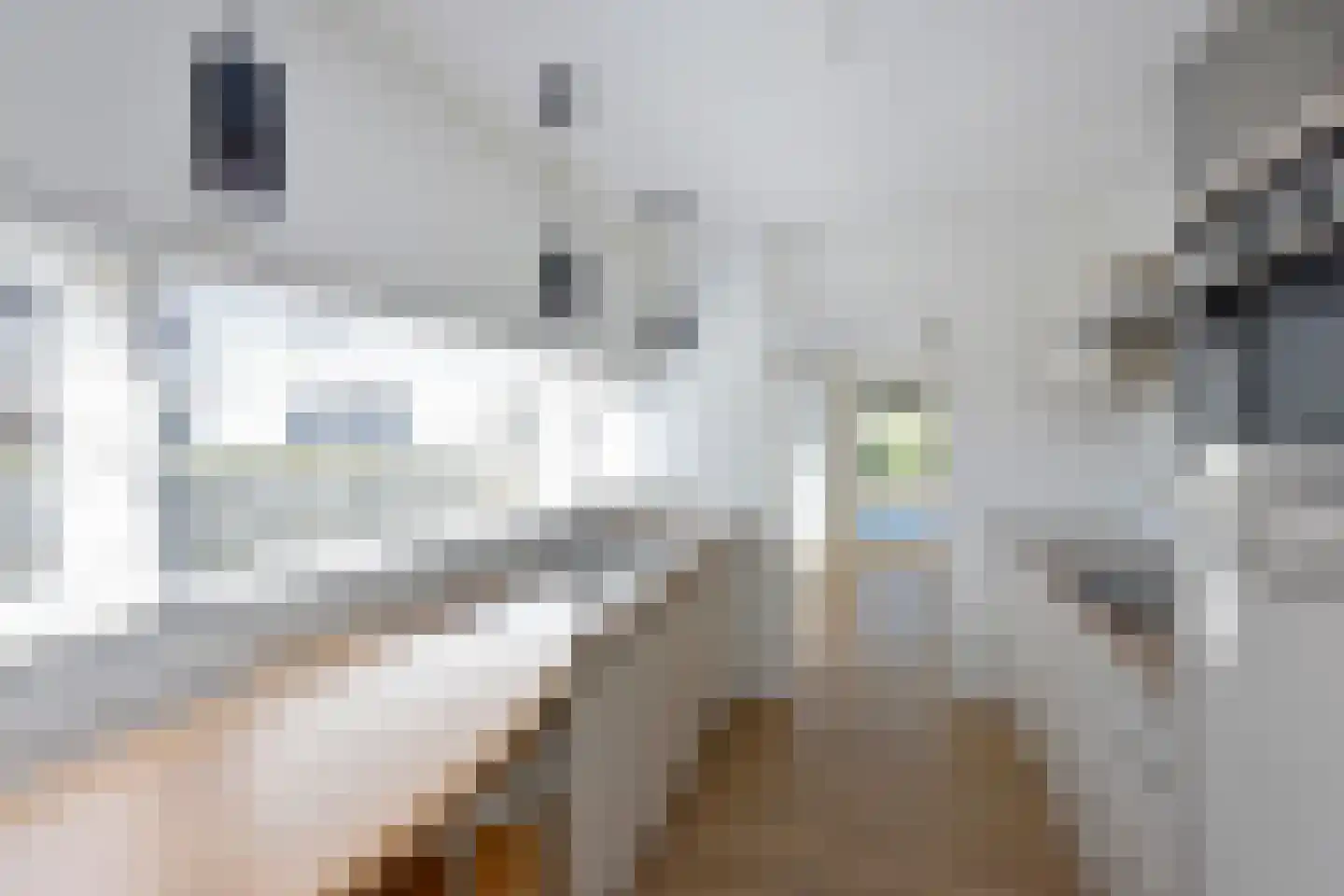 Craeyenbergh 36 Overasselt thumbnail 10
