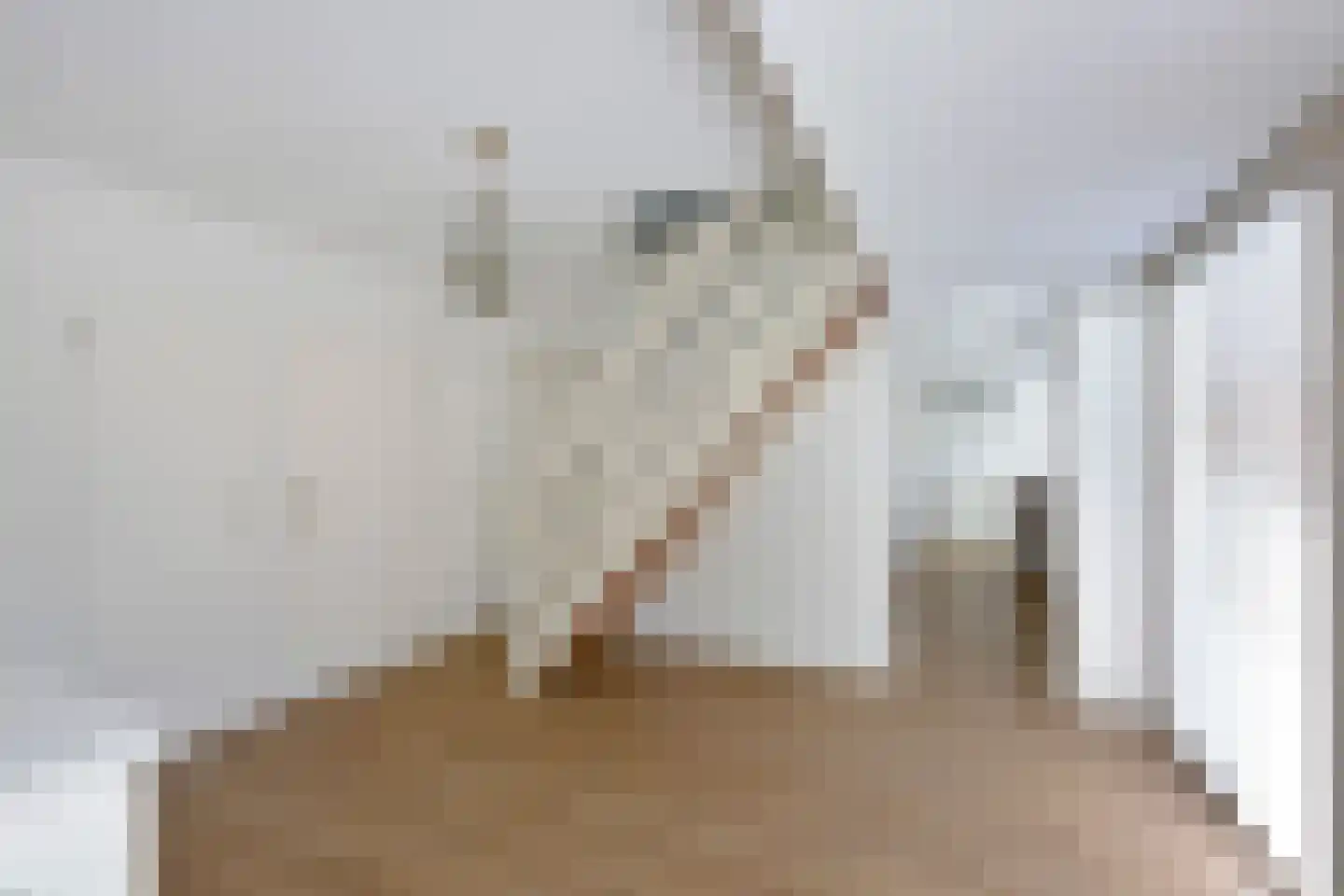 Craeyenbergh 36 Overasselt thumbnail 17
