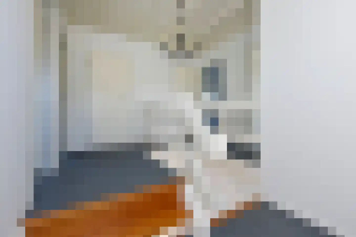 Craeyenbergh 36 Overasselt thumbnail 18