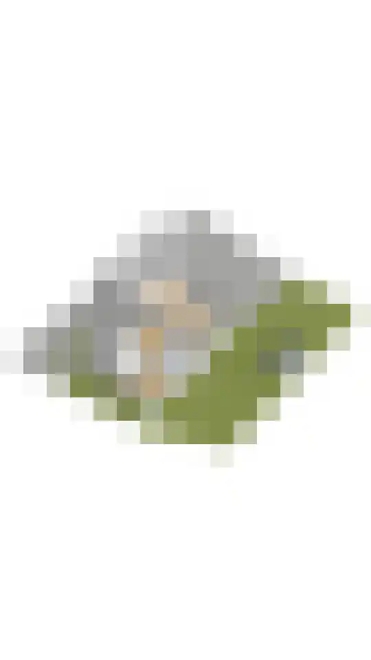 Craeyenbergh 36 Overasselt thumbnail 42