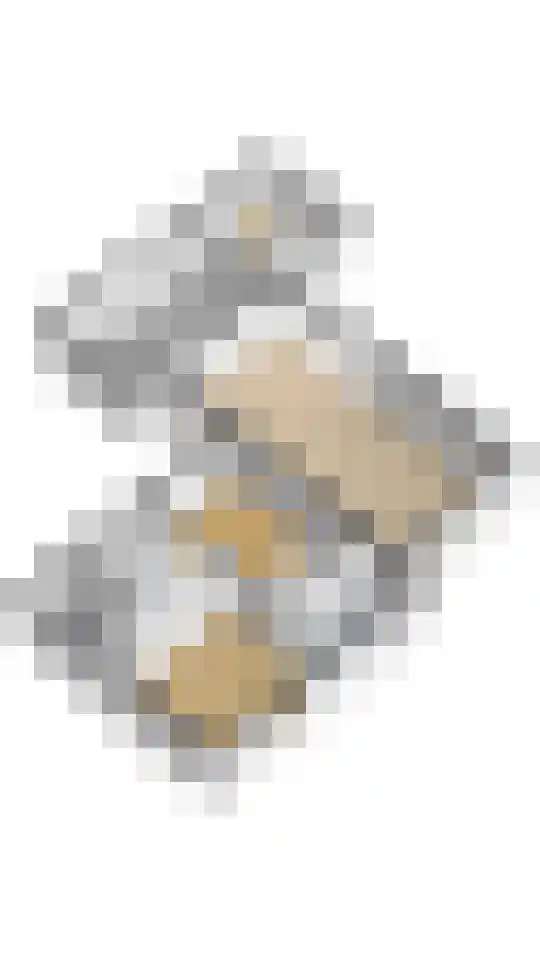 Craeyenbergh 36 Overasselt thumbnail 43