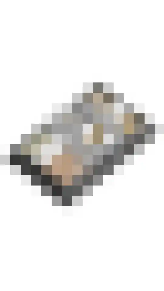 Craeyenbergh 36 Overasselt thumbnail 45