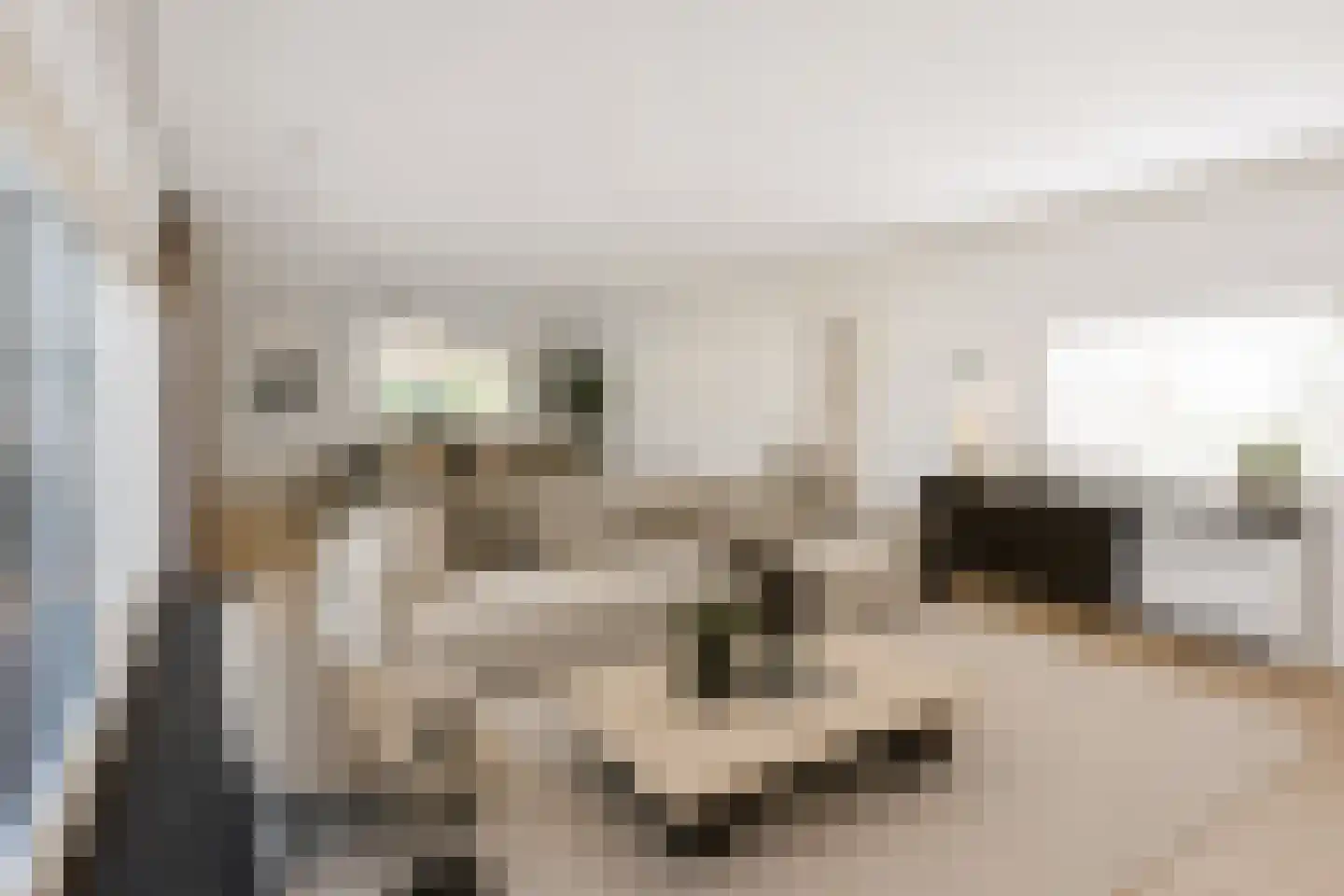 Craeyenbergh 36 Overasselt thumbnail 7