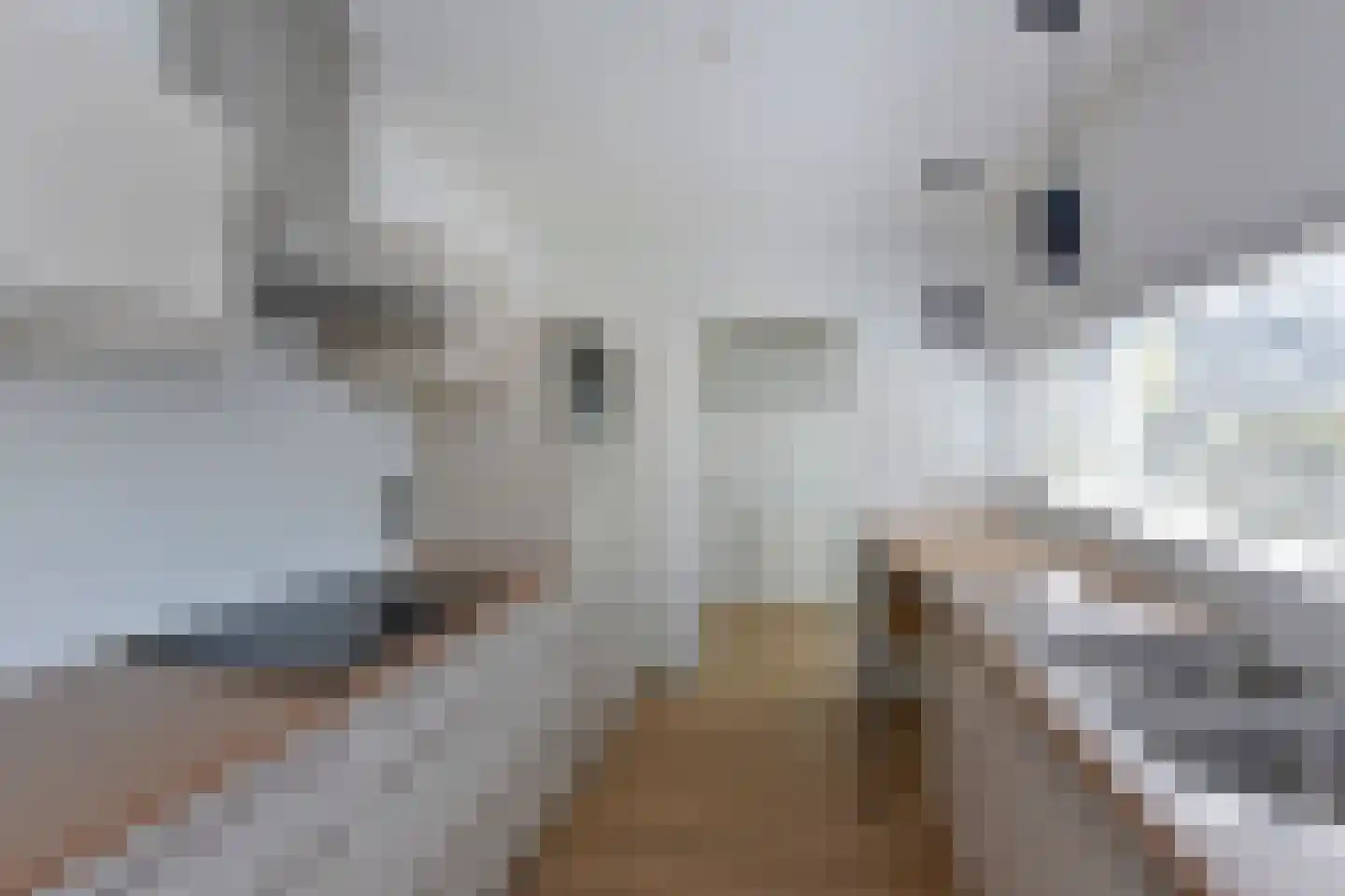 Craeyenbergh 36 Overasselt thumbnail 9