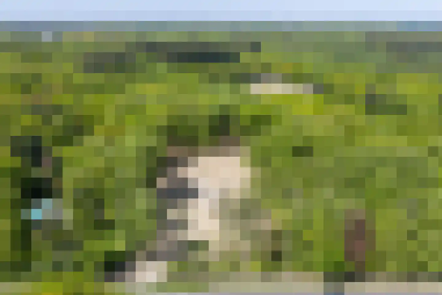 Crailoseweg 122 Huizen thumbnail 6