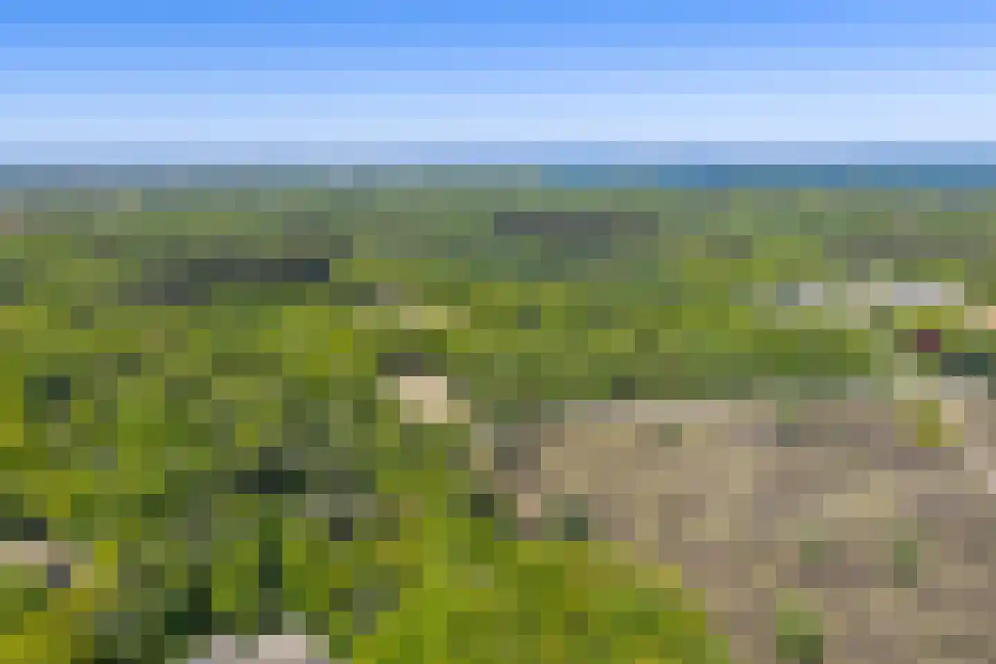 Crailoseweg 122 Huizen thumbnail 8