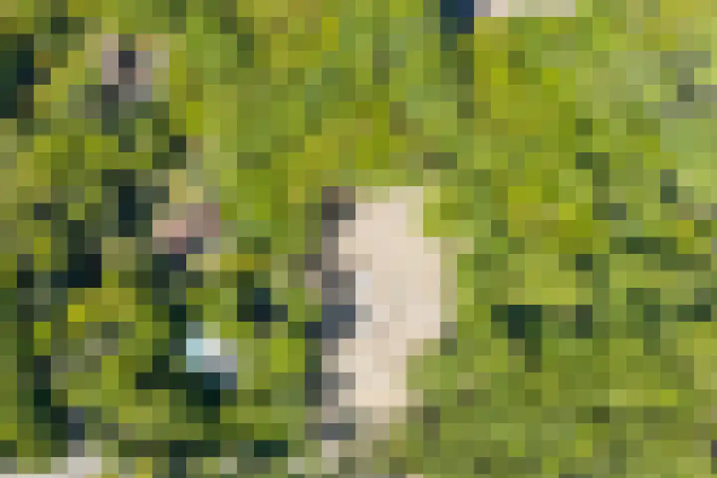 Crailoseweg 122 Huizen thumbnail 9