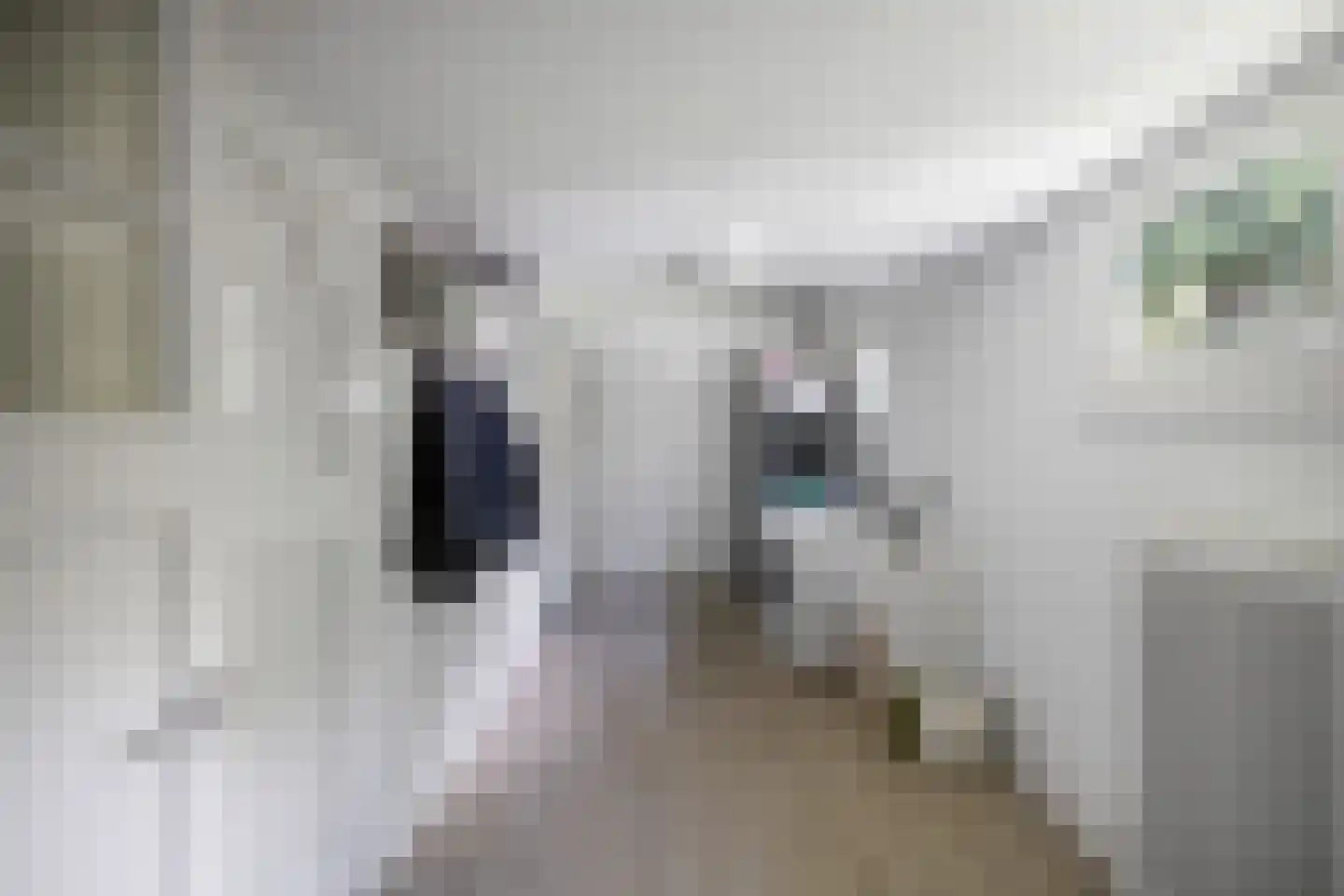 Crailoseweg 18 Huizen thumbnail 17