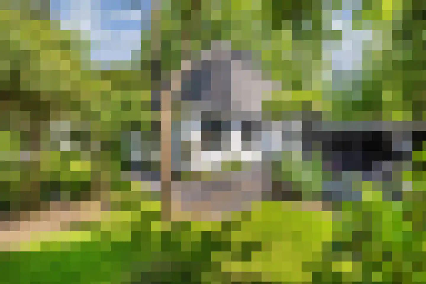 Crailoseweg 18 Huizen thumbnail 37