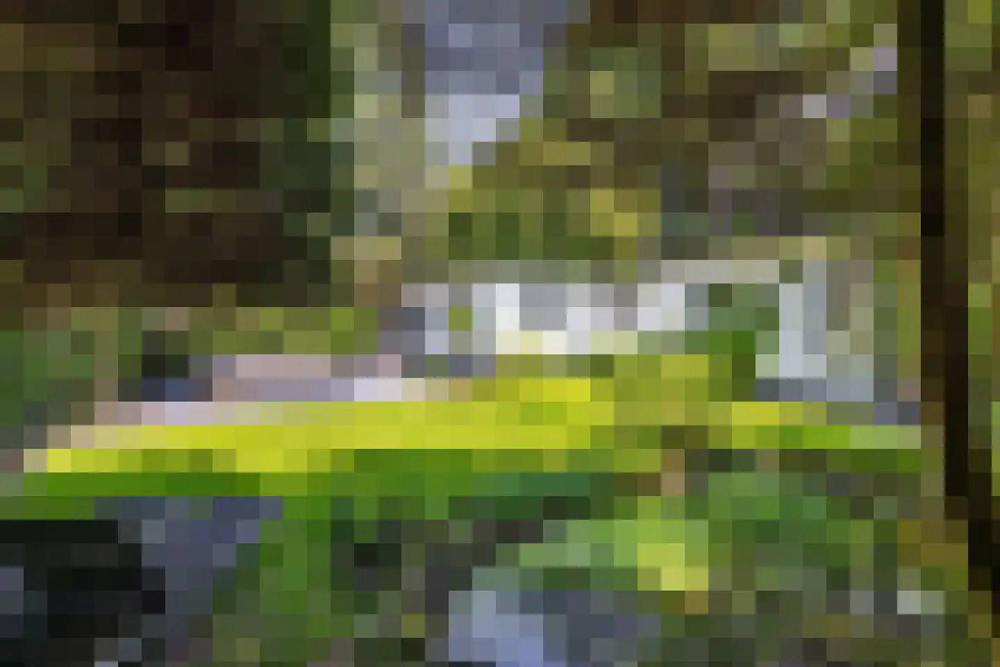 Crailoseweg 18 Huizen thumbnail 41