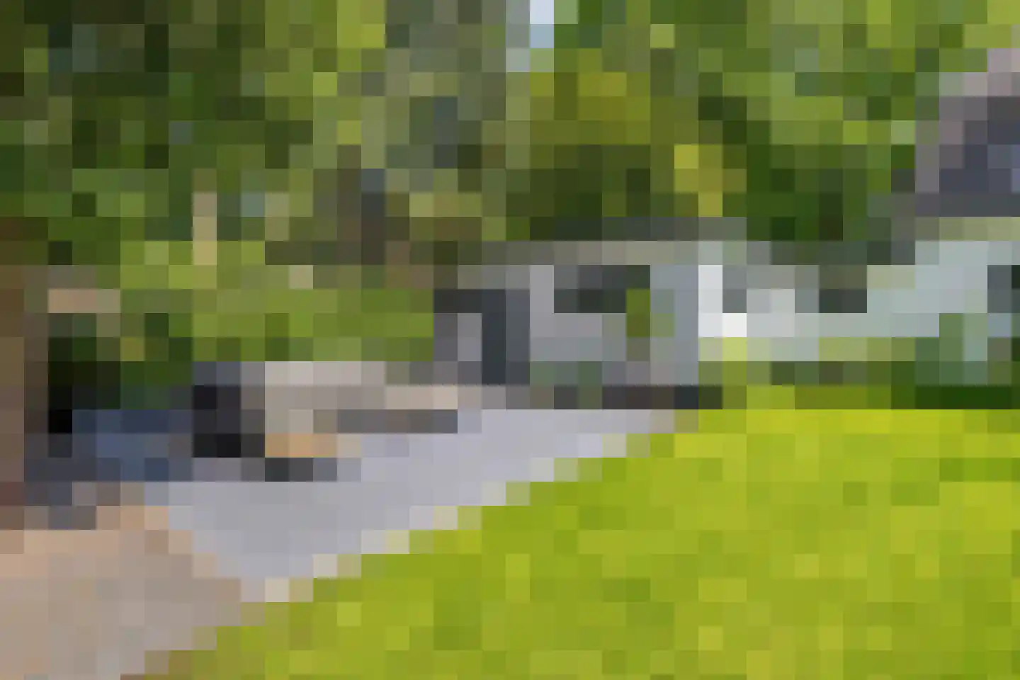 Crailoseweg 18 Huizen thumbnail 42