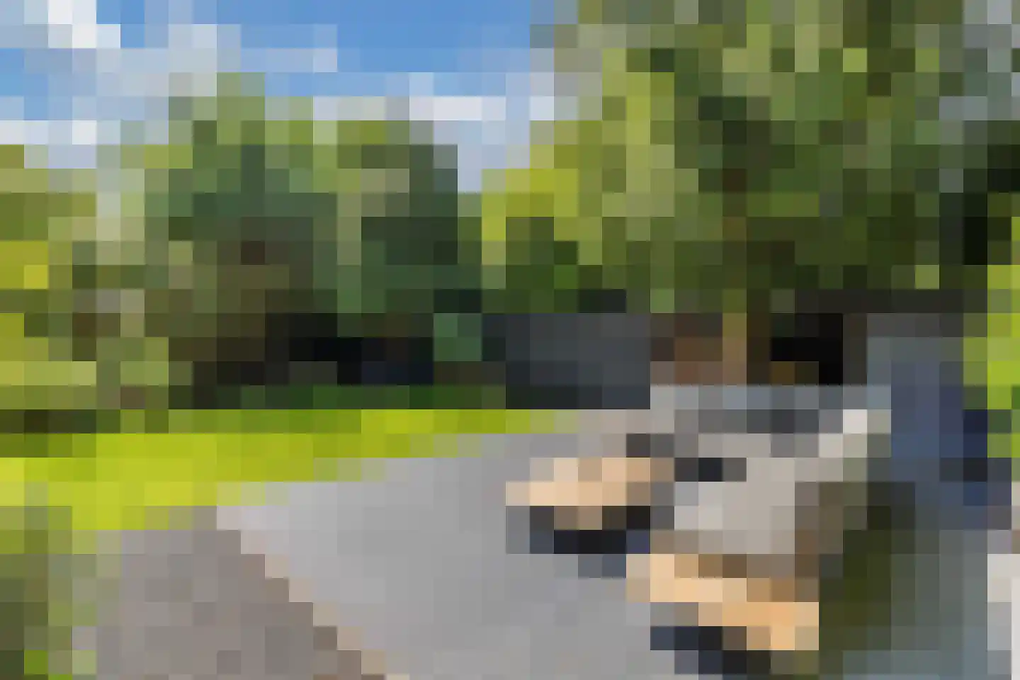 Crailoseweg 18 Huizen thumbnail 44