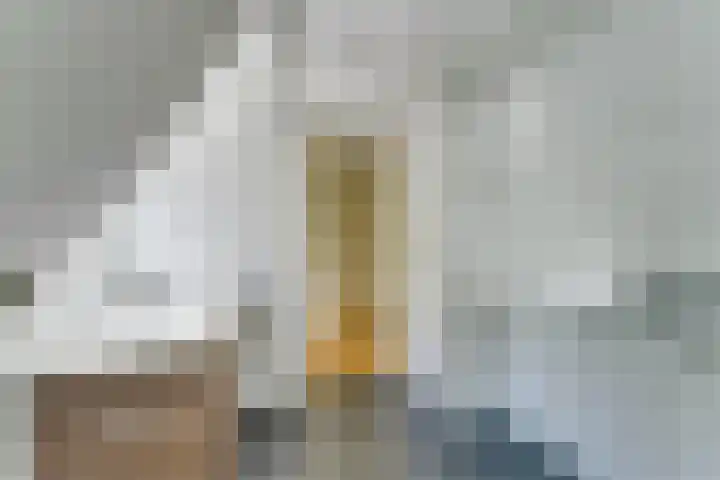 Crailoseweg 27 Huizen thumbnail 36