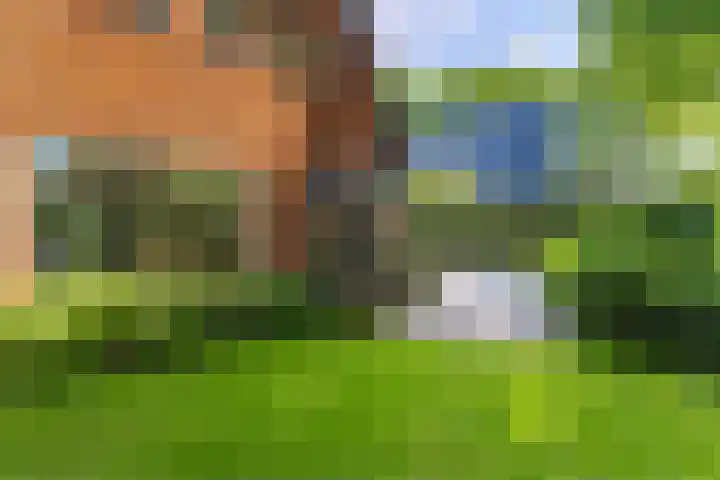 Crailoseweg 27 Huizen thumbnail 6