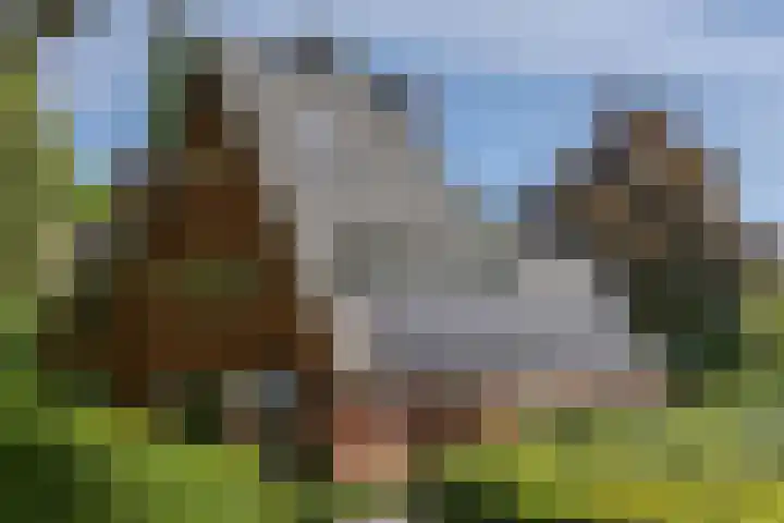 Crailoseweg 27 Huizen thumbnail 66