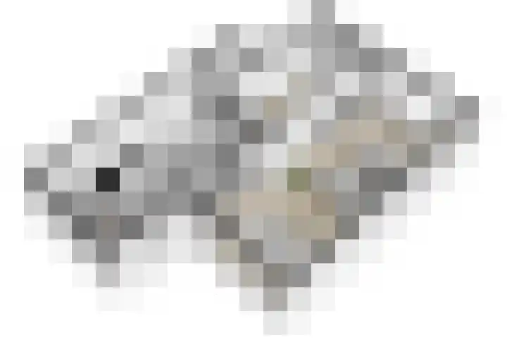 Crailoseweg 27 Huizen thumbnail 69