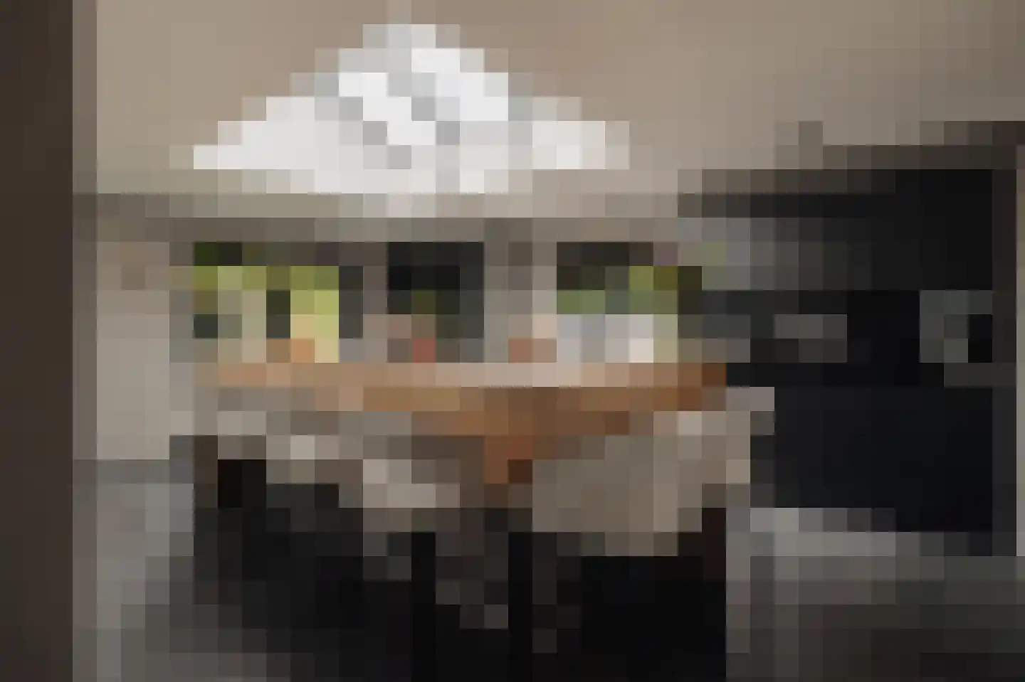 Crailoseweg 36 Huizen thumbnail 15