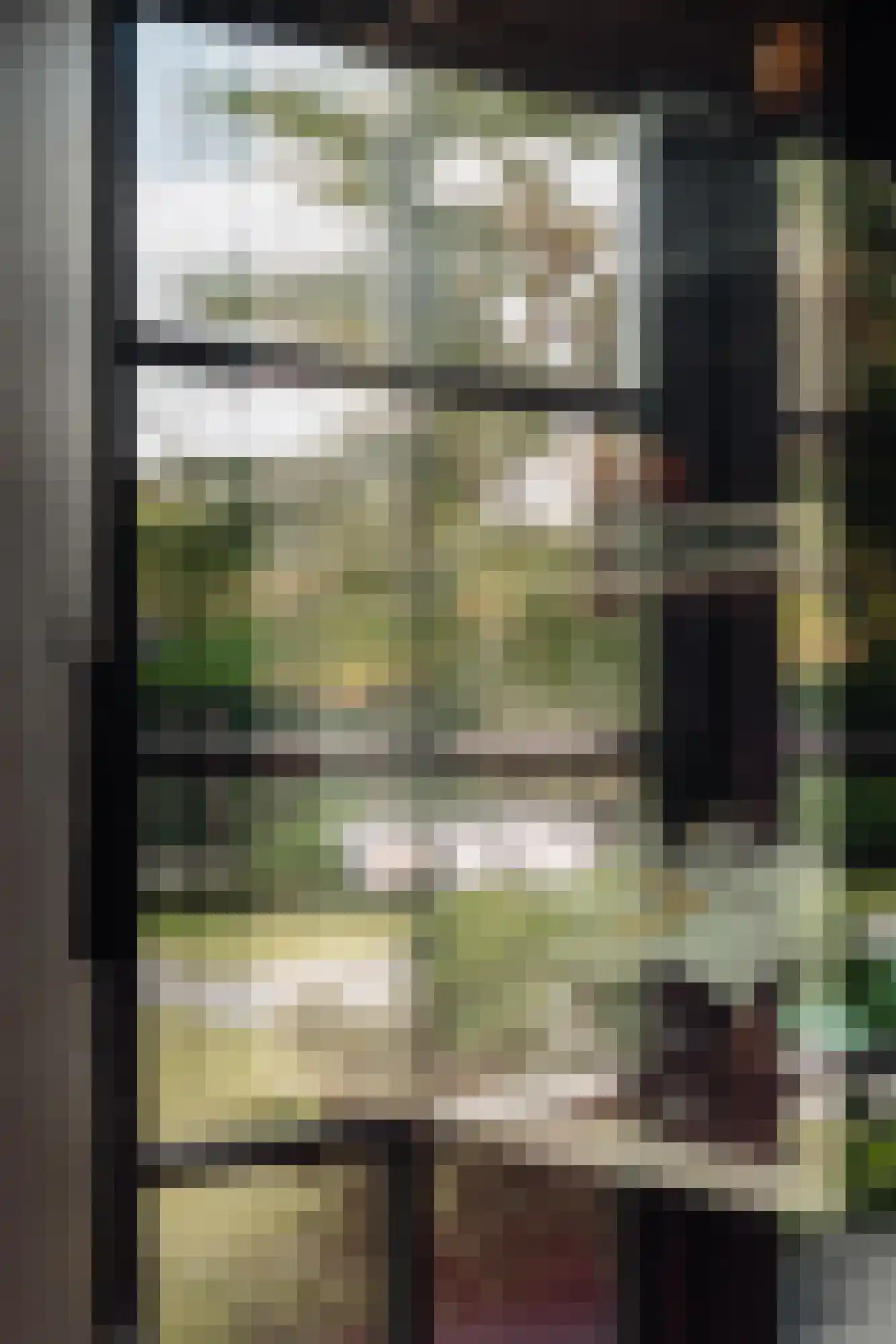 Crailoseweg 36 Huizen thumbnail 18