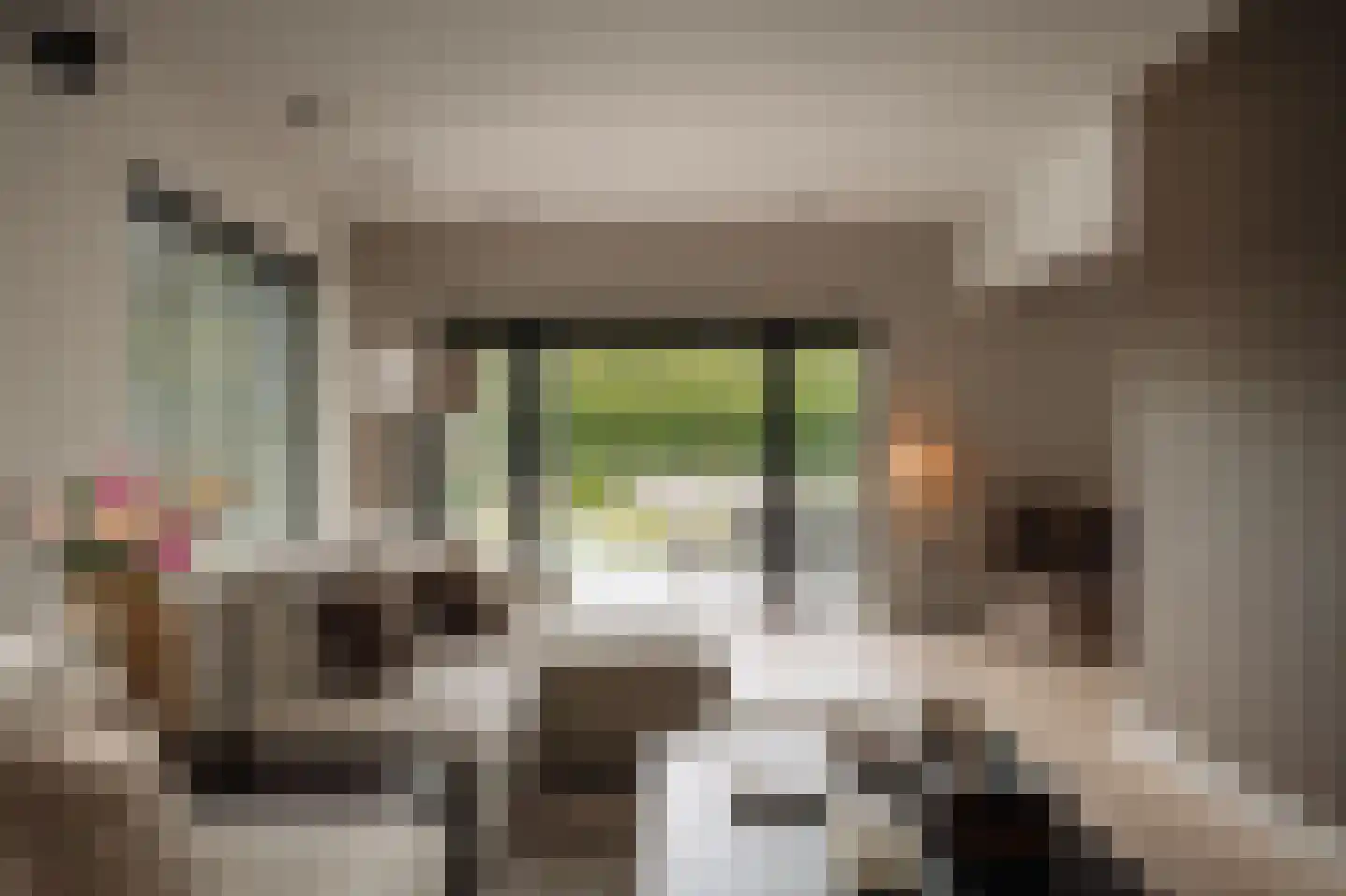 Crailoseweg 36 Huizen thumbnail 4