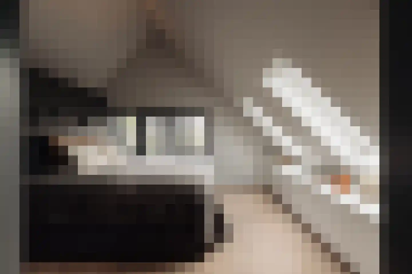 Crailoseweg 36 Huizen thumbnail 41