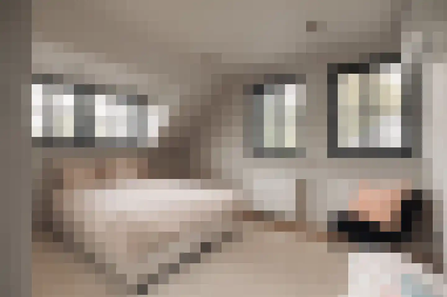 Crailoseweg 36 Huizen thumbnail 47