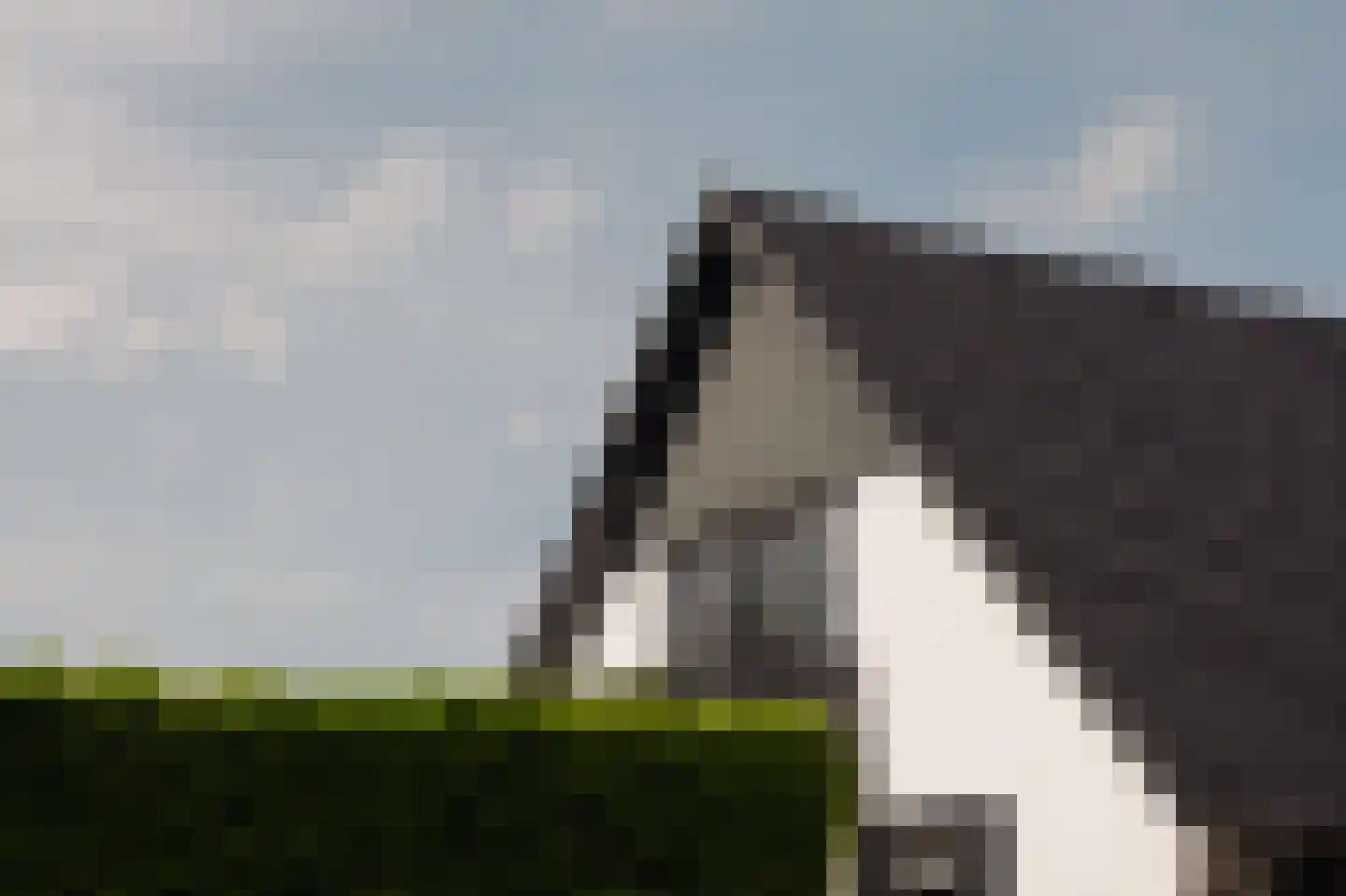 Crailoseweg 36 Huizen thumbnail 51