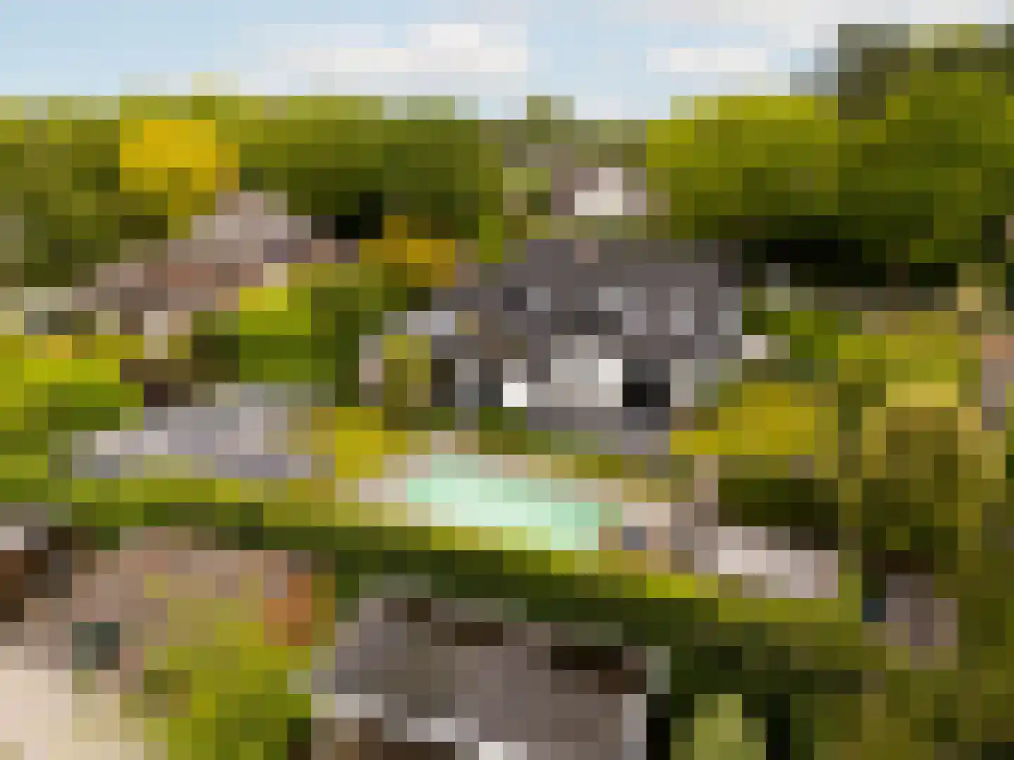 Crailoseweg 36 Huizen thumbnail 56