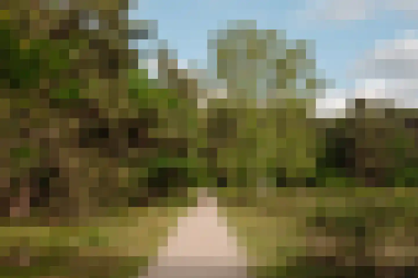 Crailoseweg 36 Huizen thumbnail 59