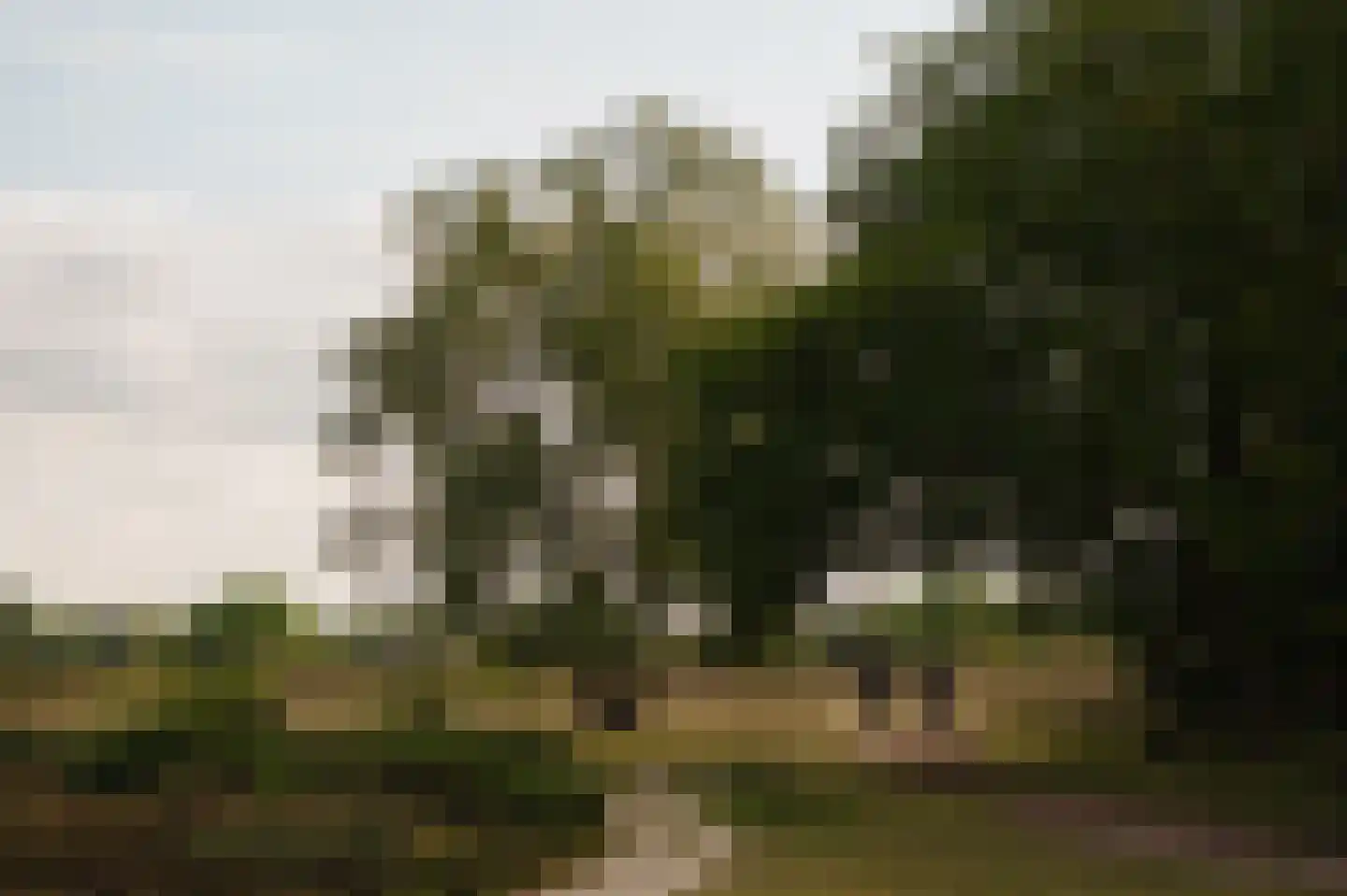 Crailoseweg 36 Huizen thumbnail 60