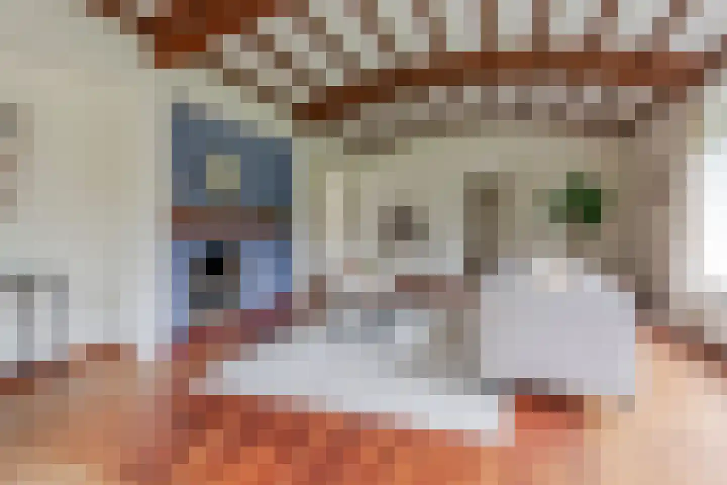 Crailoseweg 42 Huizen thumbnail 9