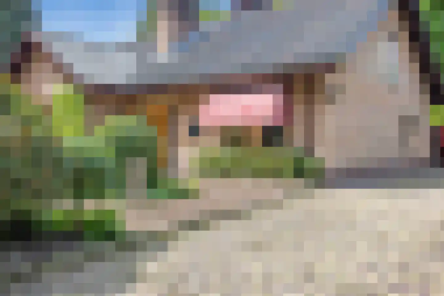 Crailoseweg 48 Huizen thumbnail 4