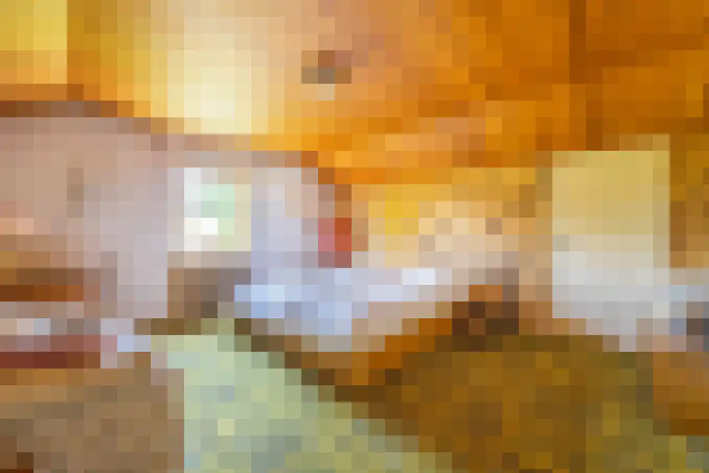 Crailoseweg 48 Huizen thumbnail 46
