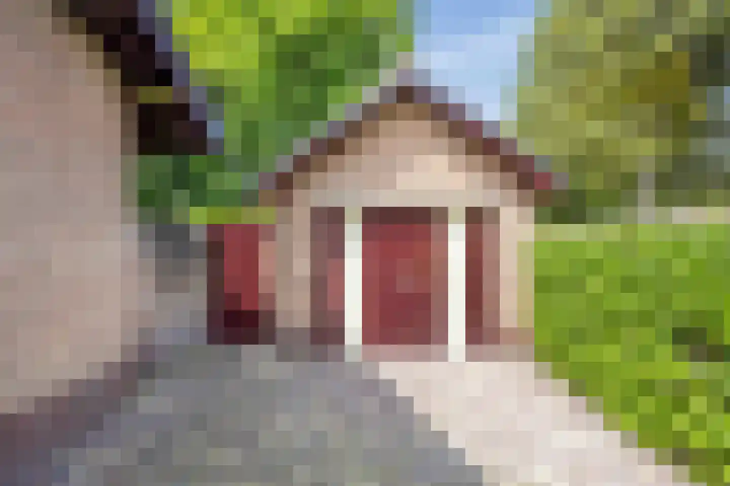Crailoseweg 48 Huizen thumbnail 58