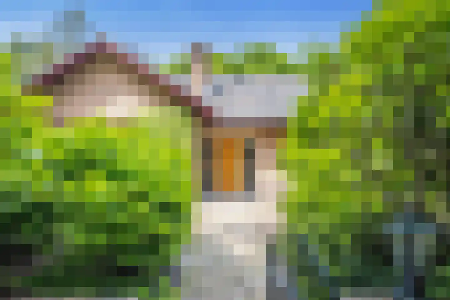 Crailoseweg 48 Huizen thumbnail 8